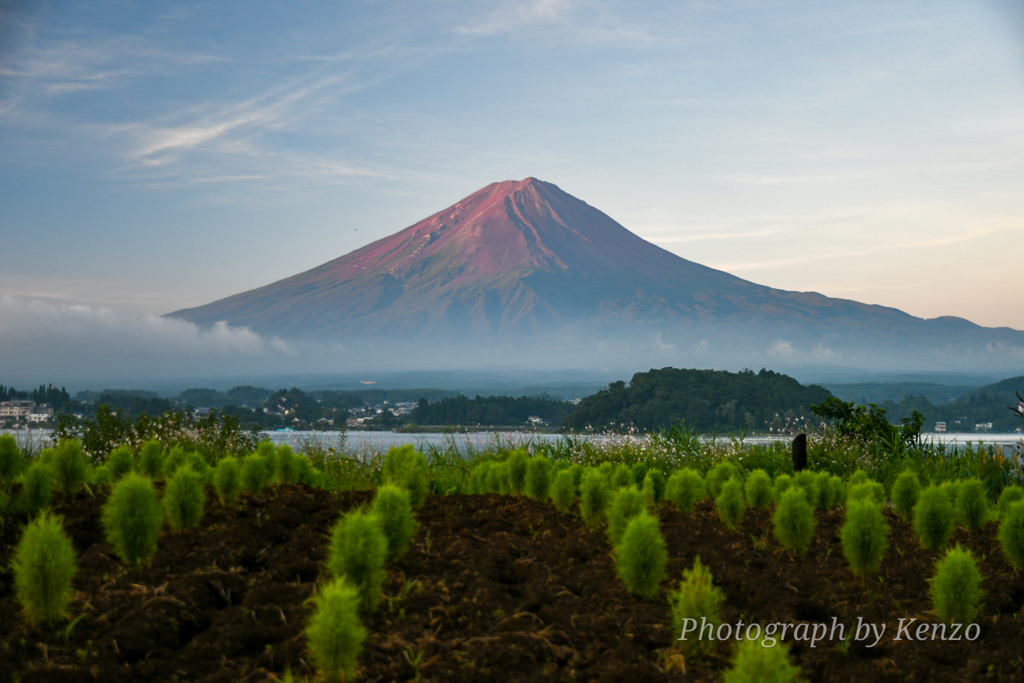 河口湖～大石公園～