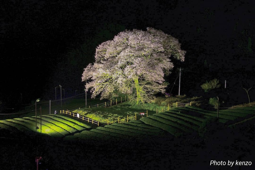 IMG_20200330_215752_652