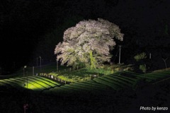 IMG_20200330_215752_652