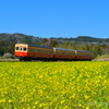 菜の花と小湊鉄道