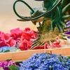 花手水