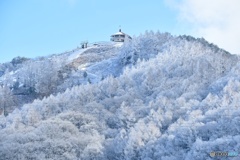 雪景色