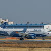 成田空港さくらの山