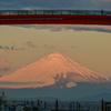 中の島大橋越の富士山