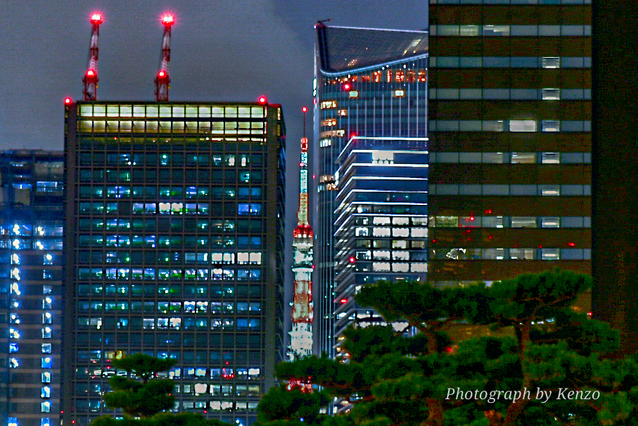 ビル群の隙間に見えた東京タワー
