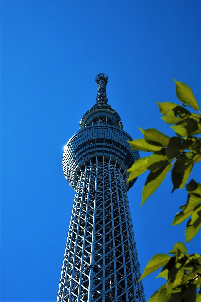 青空とスカイツリー