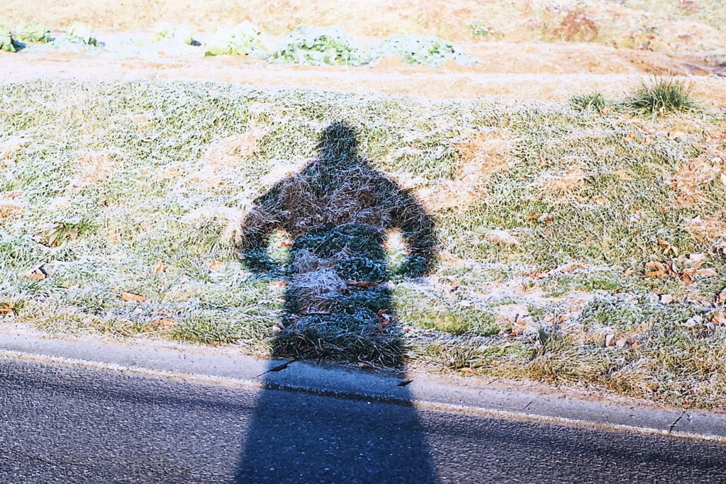 どうやって写したでしょう