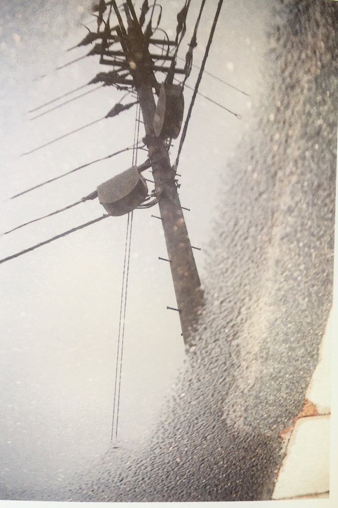 電柱
