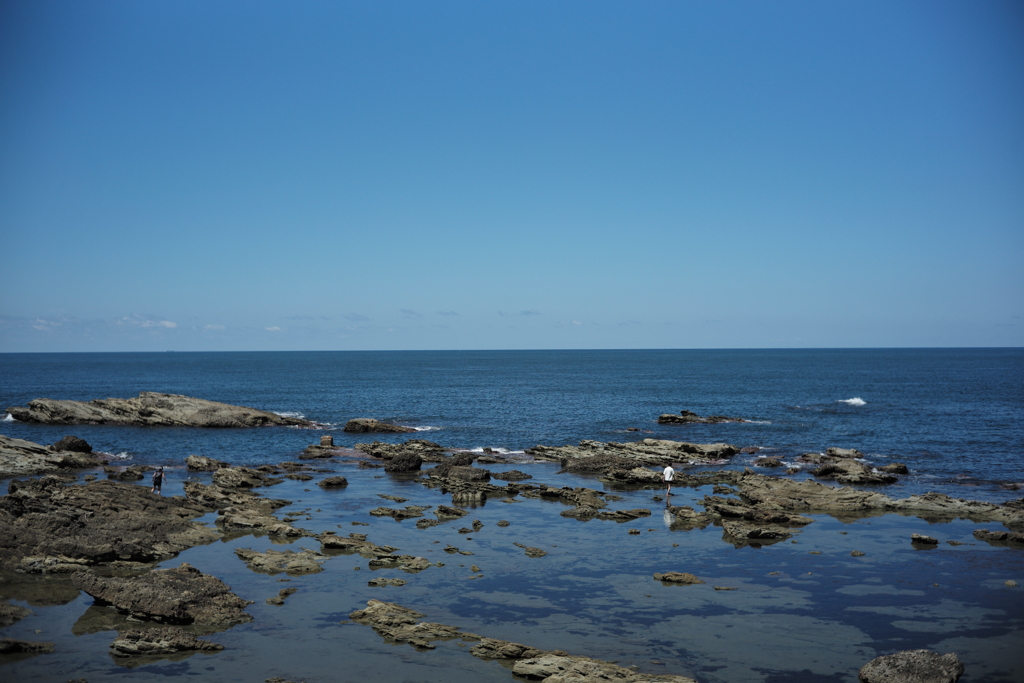 日本海
