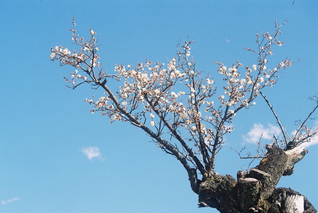 青空背景