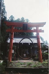輪くぐり。