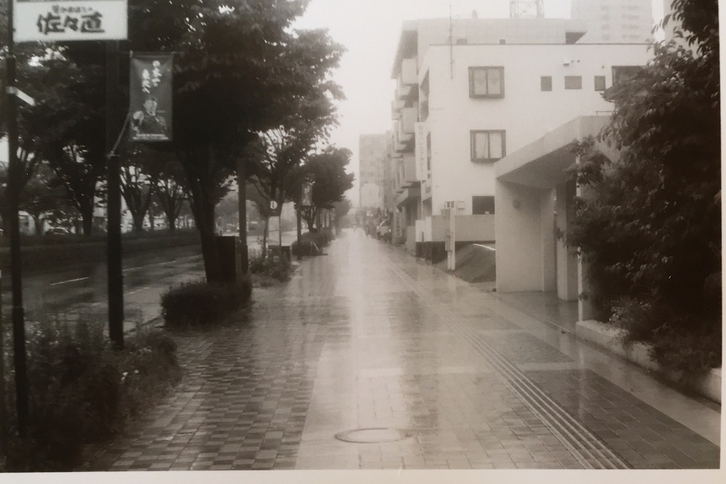 ある雨の通り