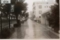 ある雨の通り