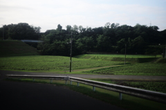 朝んぽ