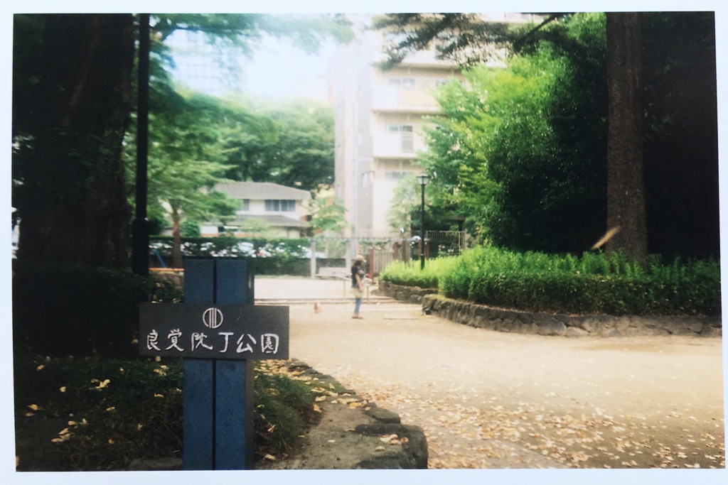 通りすがりの公園