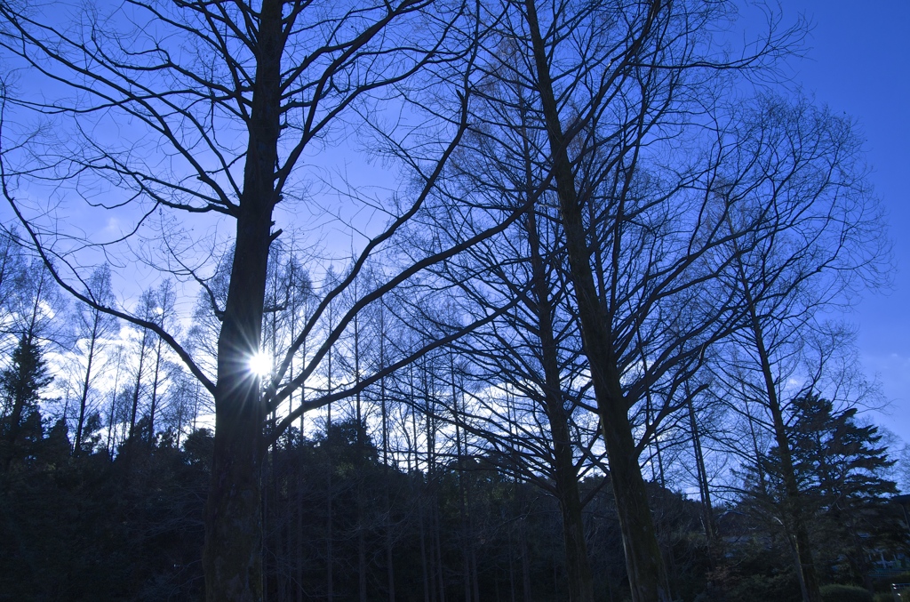 冬の夕暮れ