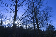 冬の夕暮れ