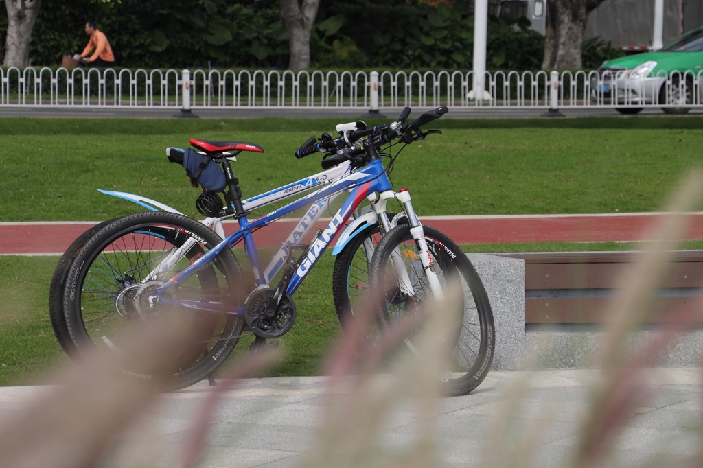 サイクリング