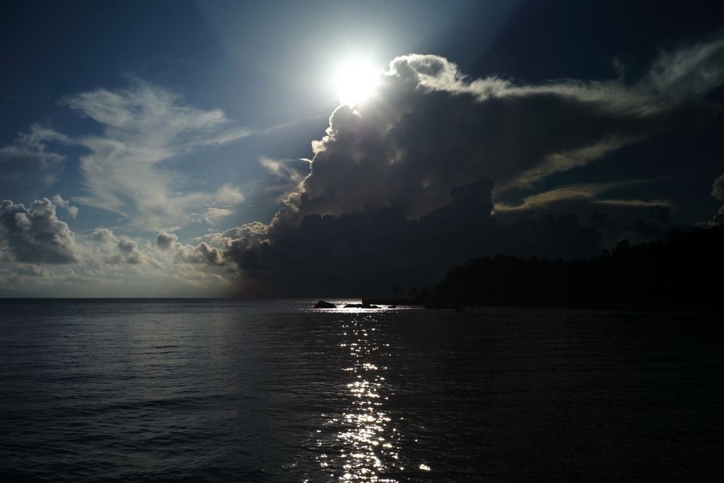 Spotlight in summer