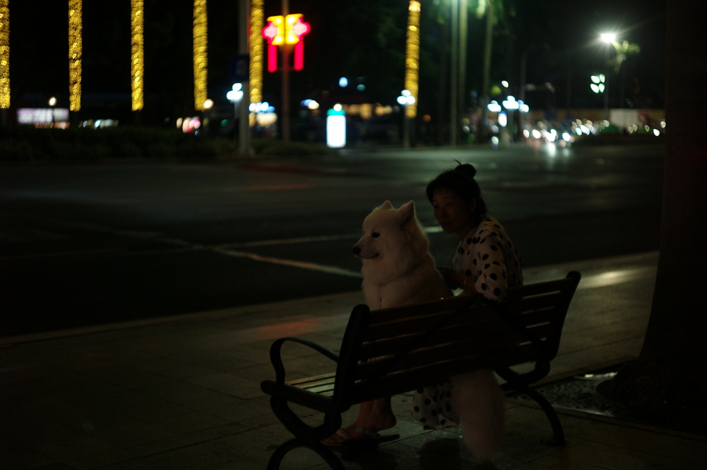 広東の忠犬