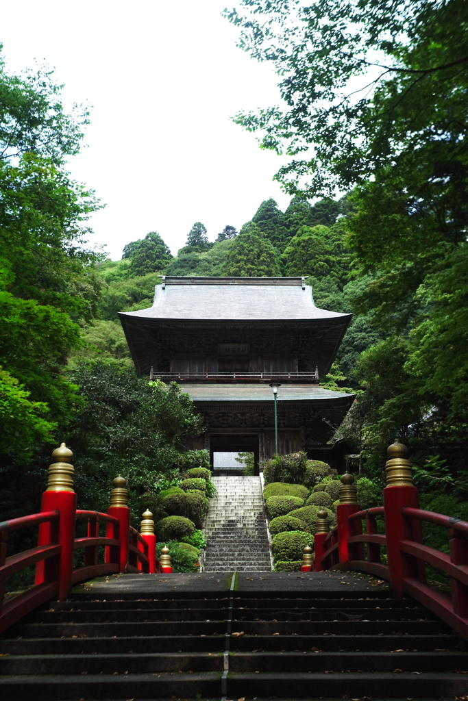 木啄も 庵は破らず 夏木立