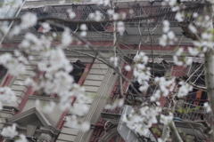 上海DAIMARU近傍