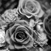Preserved flower