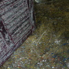 active floor
