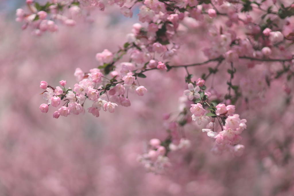 ３月３１日
