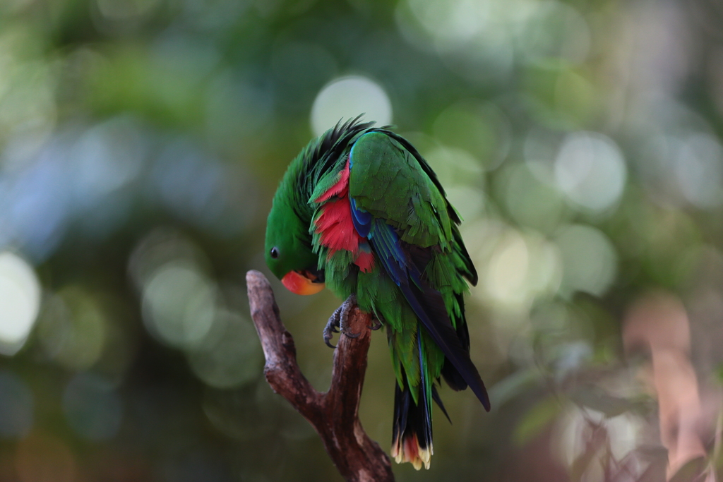 《振返り》視点を変えたから見えたもの
