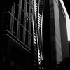monochrome