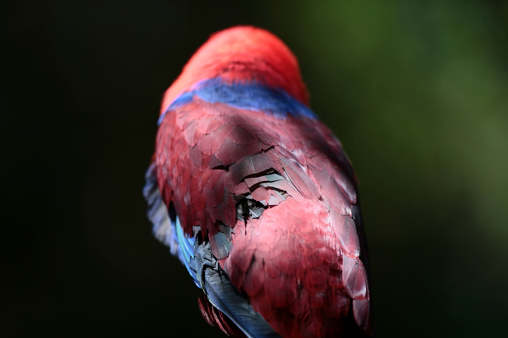 《振返り》視点を変えたから見えたもの