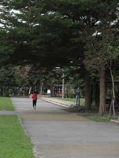 市民の健康意識@台北林森公園