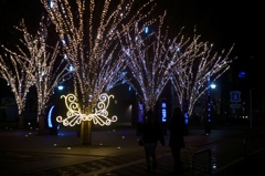 青葉Illumination