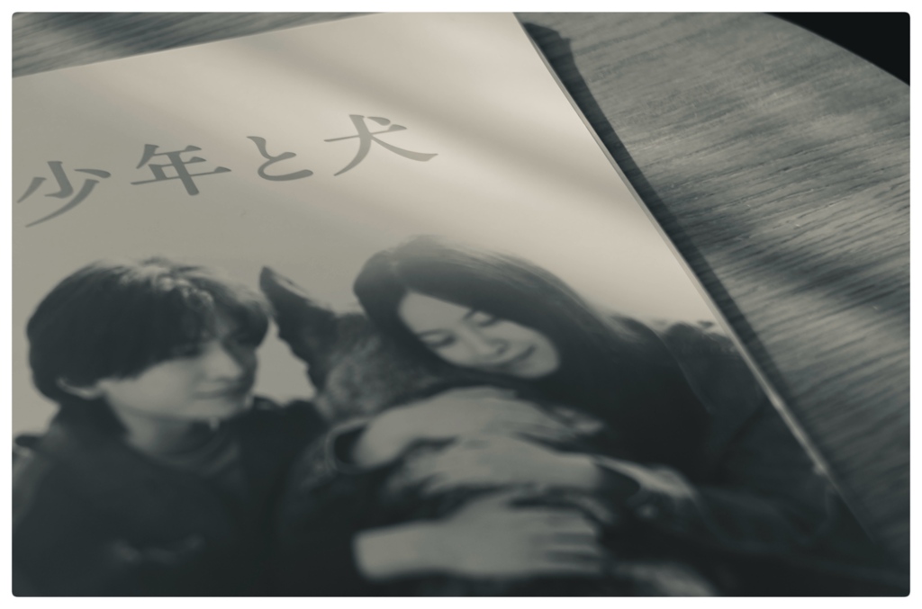 少年と犬
