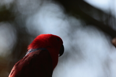 《振返り》視点を変えたから見えたもの