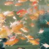 金魚