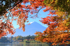 紅葉