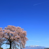 ワニ塚の桜と八ヶ岳