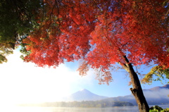 紅葉