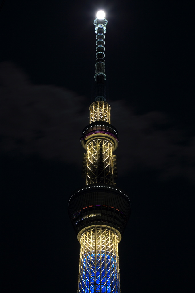 スカイツリーと月
