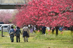 花園に誘われ