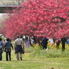 花園に誘われ
