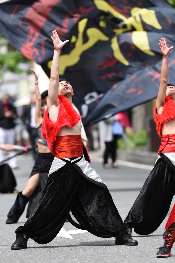 NAGANO善光寺よさこい3