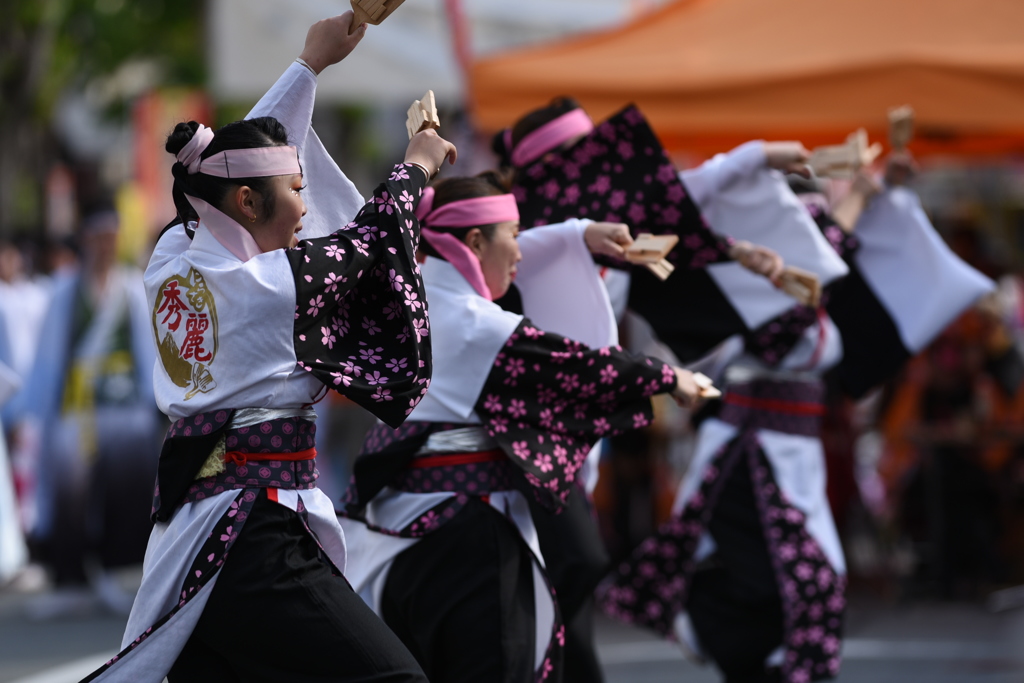 NAGANO善光寺よさこいⅡ