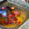 幸せの紅葉