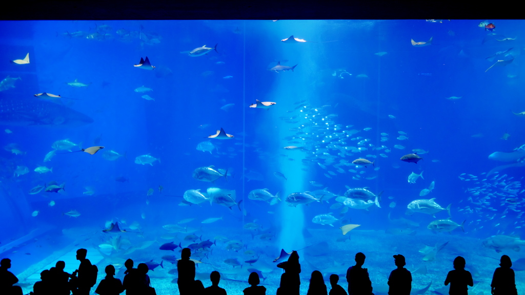 人工の海