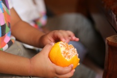 季節はずれなみかんを。。