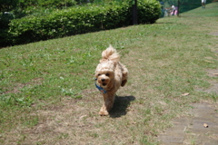 IMGP0294