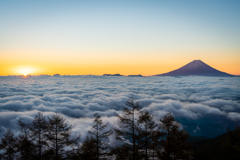 甘利山からの雲海と富士